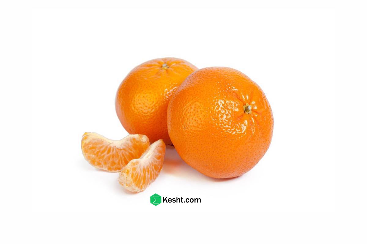 نارنگی نارنگی